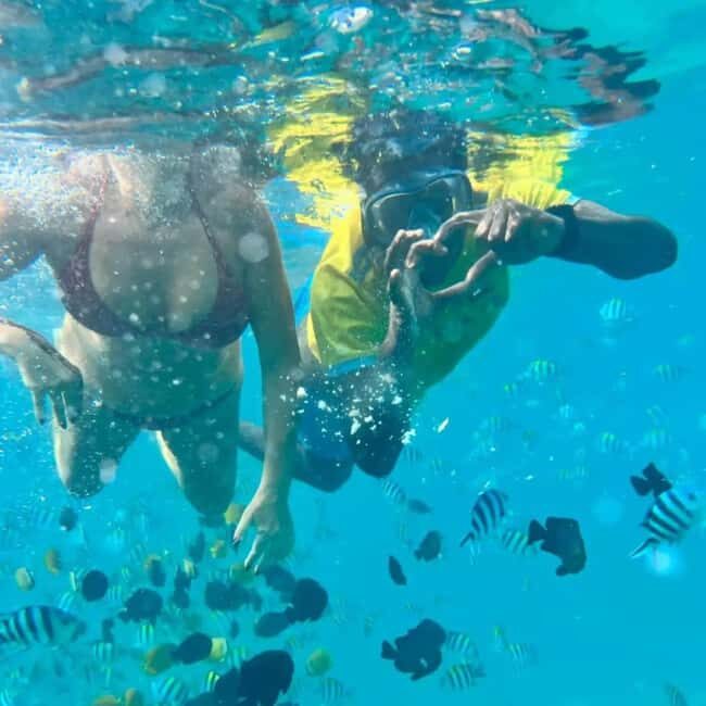 Zanzibar: Mnemba Island Dolphin Watching and Sunset Cruise - The Experience Provider: Rav Services