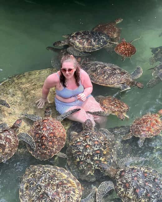 Zanzibar: Mnemba island for snorkeling from Nungwi Beach - Key Points