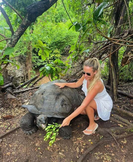 Zanzibar: Mnemba island for snorkeling from Nungwi Beach - Detailed Breakdown of the Experience