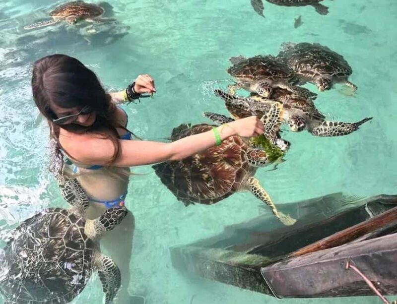 Zanzibar: Mnemba Island, Jozani Forest, and Salaam Cave Tour - Who Will Love This Tour?