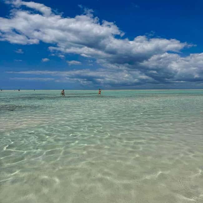 Zanzibar: Mnemba Island & Jozani Forest Day Tour - Final Thoughts