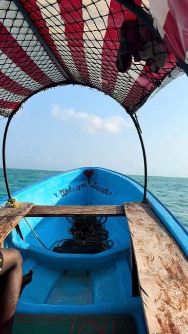 ZANZIBAR: Mnemba Island, Jozani Forest & Sea Turtles - The Sum Up
