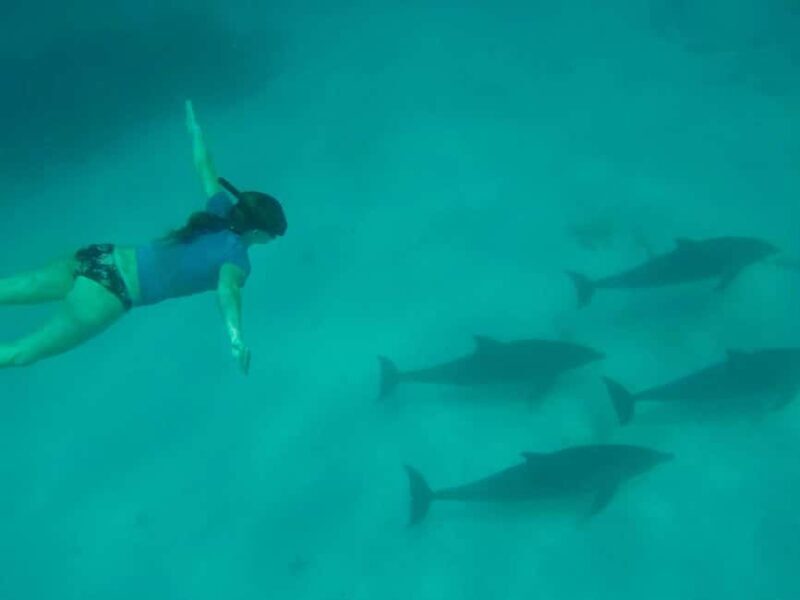 Zanzibar: Mnemba Island, Jozani forest & The Rock restaurant - Authentic Experiences and Local Culture