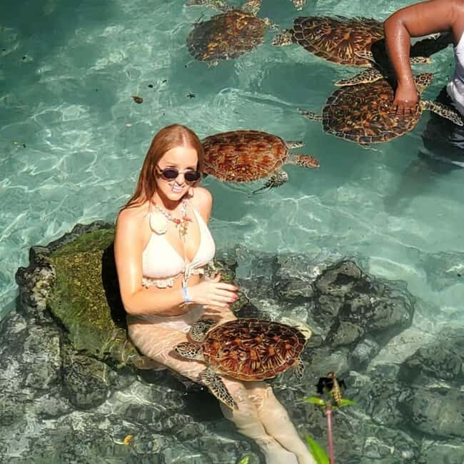 Zanzibar: Mnemba Island, Jozani Forest & Turtle Tour - Exploring Zanzibar’s Natural Wonders: A Detailed Review