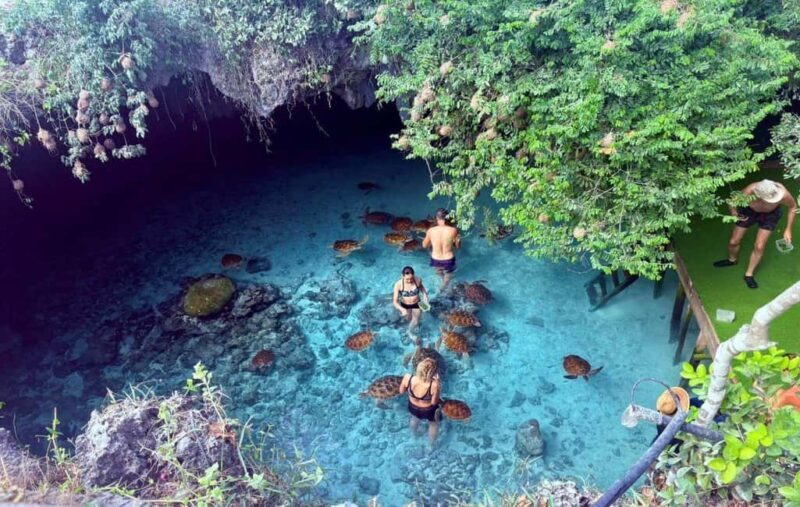 Zanzibar: Mnemba Island, Prison Island and Salaam Cave Tour - FAQs
