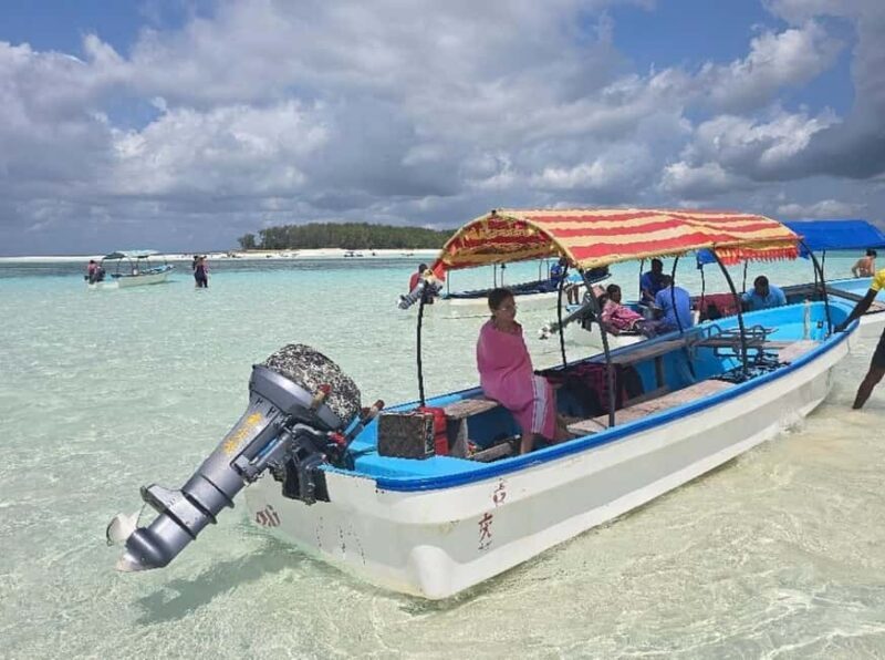 Zanzibar: Mnemba Island & Sea Turtle sanctuary Tour - Swimming with Sea Turtles