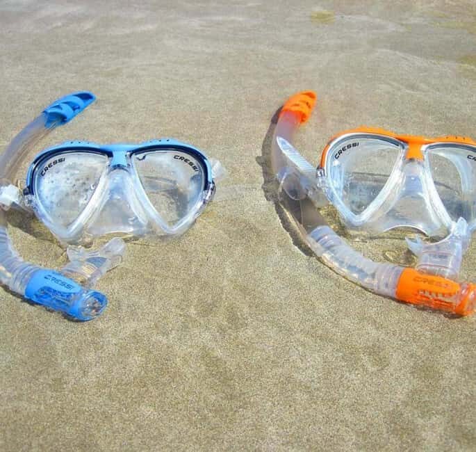 Zanzibar: Mnemba Island, Sea turtles Aquarium & Nungwi Zoo - FAQ