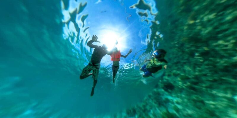 Zanzibar: Mnemba island Snorkeling & Boat Tour with Lunch - Key Points