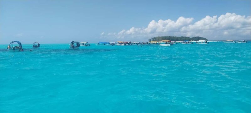 Zanzibar: Mnemba Island Snorkeling & Dolphin - To sum it up