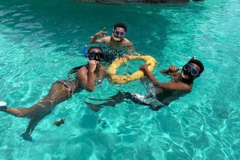 ZANZIBAR: Mnemba Island Snorkeling & Turtle Aquarium Tour - The Sum Up