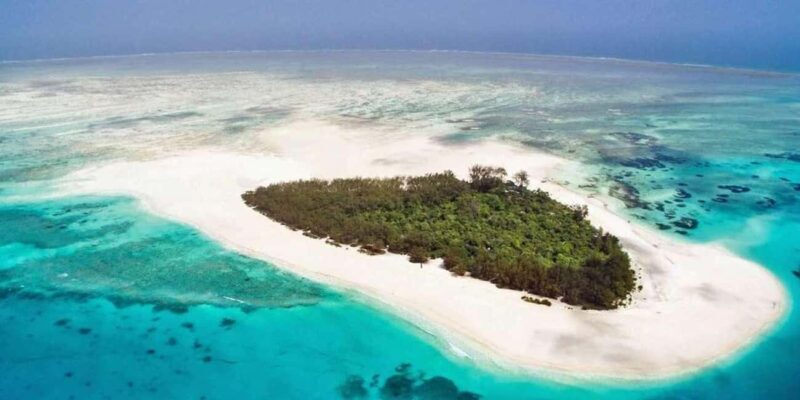 Zanzibar: Mnemba Island, Stone Town & Jozani Forest - The Ups and Downs