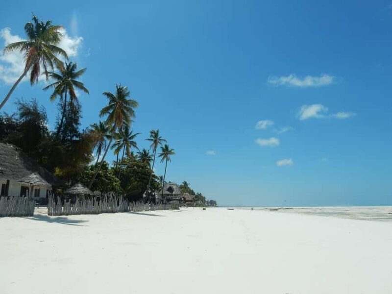 Zanzibar - Mnemba Island tour and Baraka aquarium - turtles - Key Points