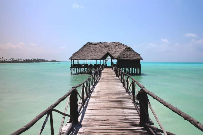 Zanzibar - Mnemba Island tour and Baraka aquarium - turtles - An Adventure on the Water: What the Tour Entails