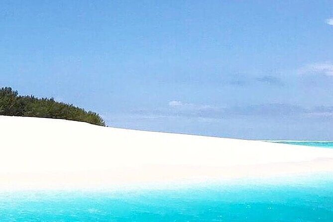 Zanzibar Mnemba Island Tour; Prison Island; Jozani Forest; The Rock Restaurant - Practical Details and What to Expect