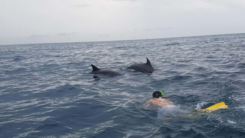 Zanzibar: Mnemba Tours A Tropical Paradise - Key Points