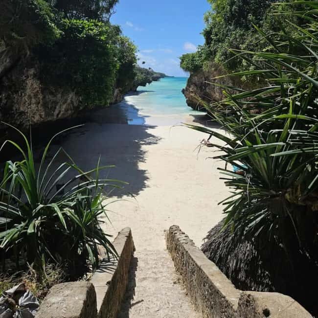 Zanzibar: Mtende secret Beach, Kuza Cave &Jozani Forest Tour - Key Points