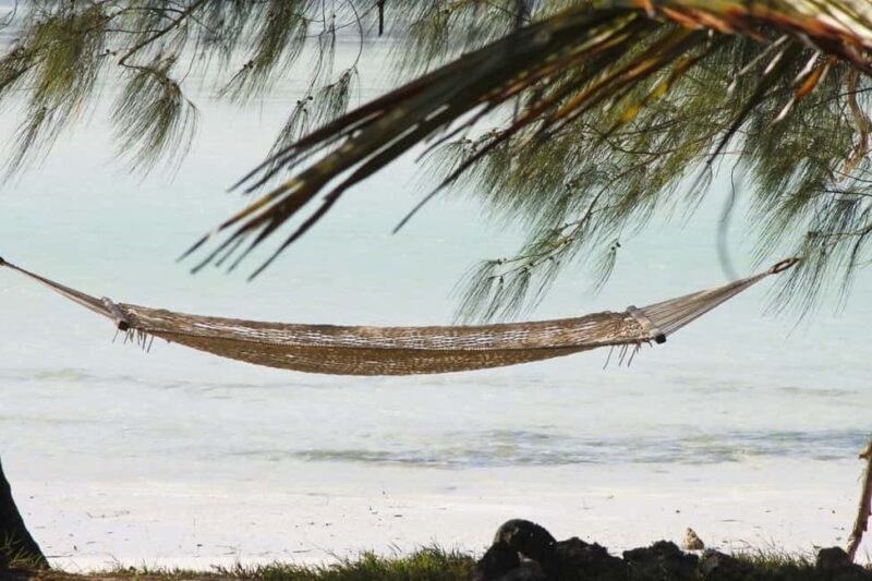 Zanzibar - Nakupenda Beach & Prison Island trip - The Sum Up