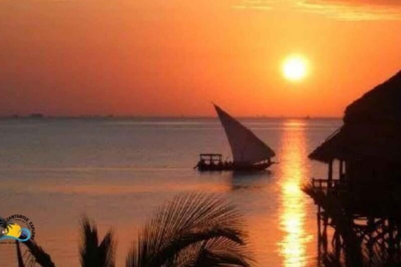 Zanzibar: Nungwi and Kendwa Sunset Dhow Cruise with Pickup - In-Depth: What to Expect on the Sunset Dhow Cruise