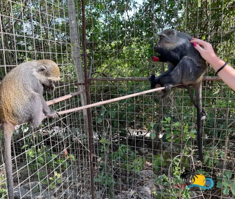 Zanzibar: Nungwi Kilosa Zoo Conservation Tour - The Conservation Mission and Educational Value