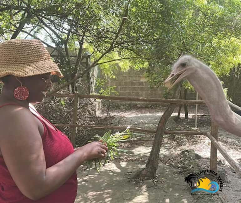 Zanzibar: Nungwi Kilosa Zoo Conservation Tour - Practical Details and Logistics