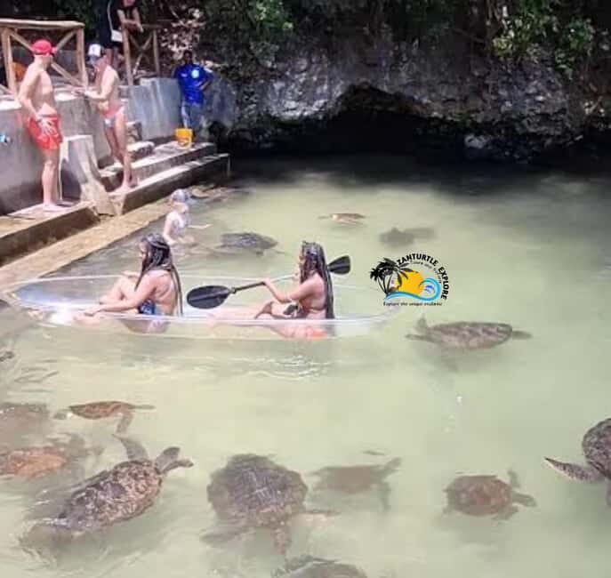Zanzibar: Nungwi Mnarani Aquarium Feed and Swim with Turtles - Key Points