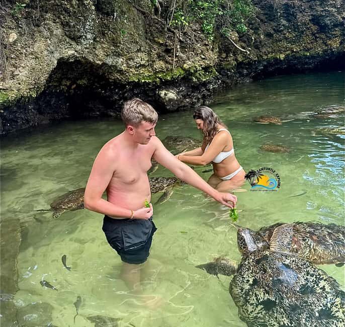 Zanzibar: Nungwi Mnarani Aquarium Feed and Swim with Turtles - A Calm, Authentic Marine Experience