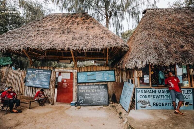 Zanzibar: Nungwi North Coast Beach Trip & Swim with turtles - Key Points