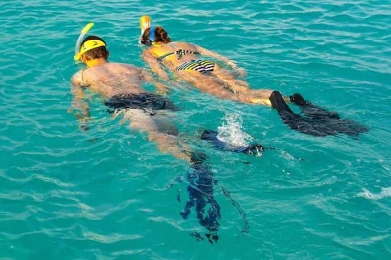 Zanzibar: Nungwi North Coast Beach Trip & Swim with turtles - The Sum Up