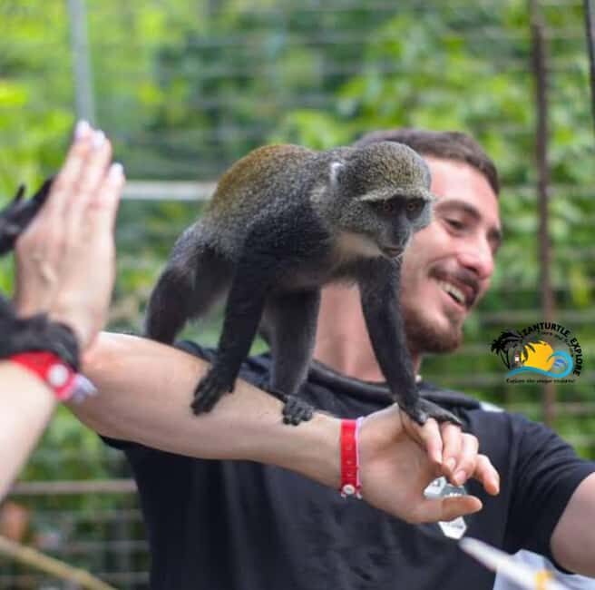 Zanzibar: Nungwi Village Tour, Kilosa Zoo & Sunset Cruise - Sunset Dhow Cruise