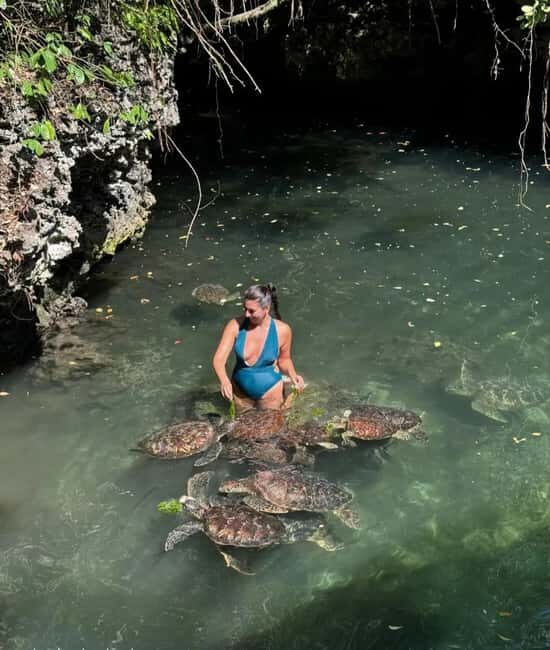 Zanzibar: Paje Beach Surfing and Flower Garden Tour - Introduction