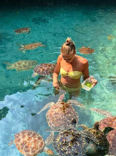 Zanzibar: Paje Beach Surfing and Flower Garden Tour - Who Should Consider This Tour?