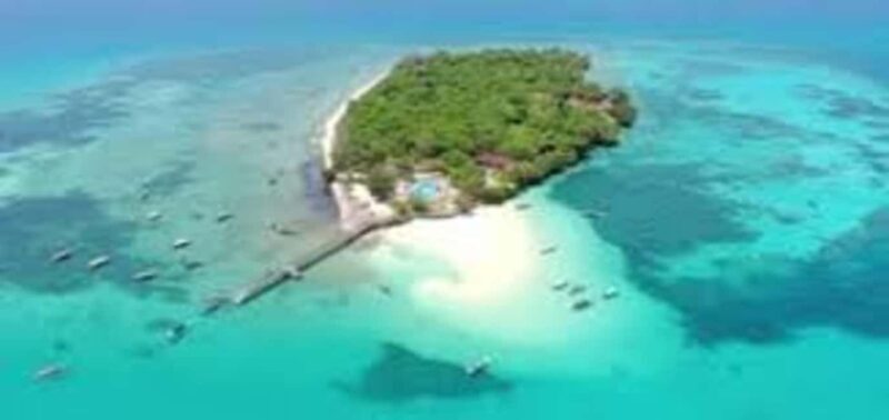 Zanzibar: Prison Island and Nakupenda Sandbank Day Trip - Who Should Consider This Tour?