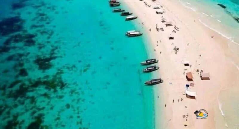 Zanzibar: Prison Island and Nakupenda Sandbank with Lunch - Authentic Experiences and Traveler Feedback