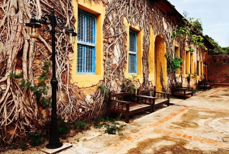 Zanzibar: prison island and stone town shopping tour & urojo - Key Points