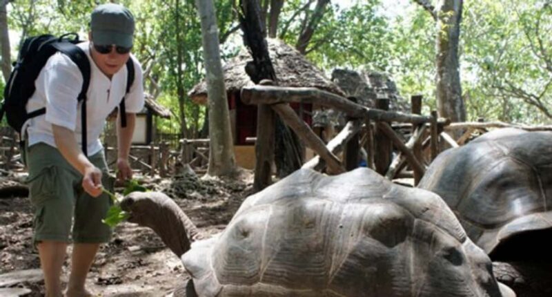 Zanzibar: Prison island and Stone town walking tour - Key Points