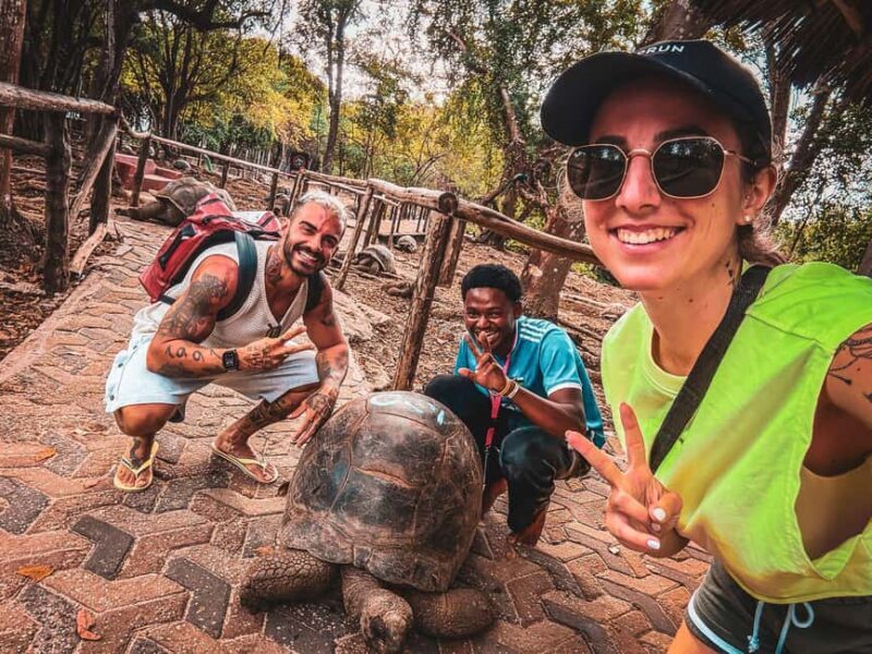 Zanzibar: Prison Island & Giant Tortoises with Pickup - The Itinerary: What to Expect on Your Trip