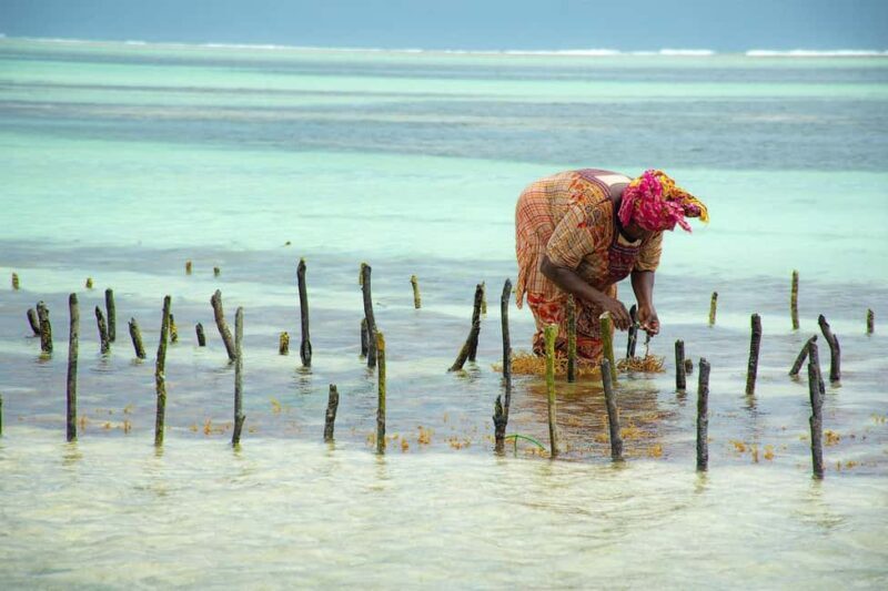 Zanzibar: Prison Island, Nakupenda, Mnemba - The Experience on the Water and Land