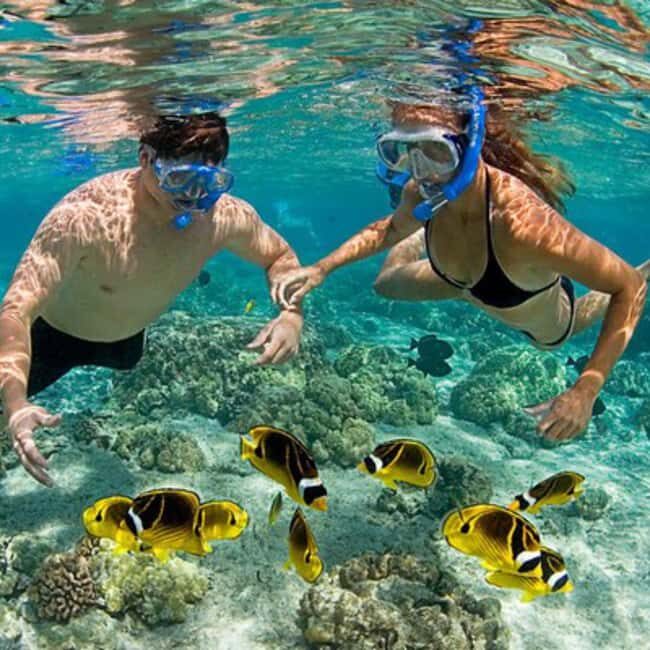 Zanzibar: Prison Island & Nakupenda Sandbank trip - What to Expect from the Tour