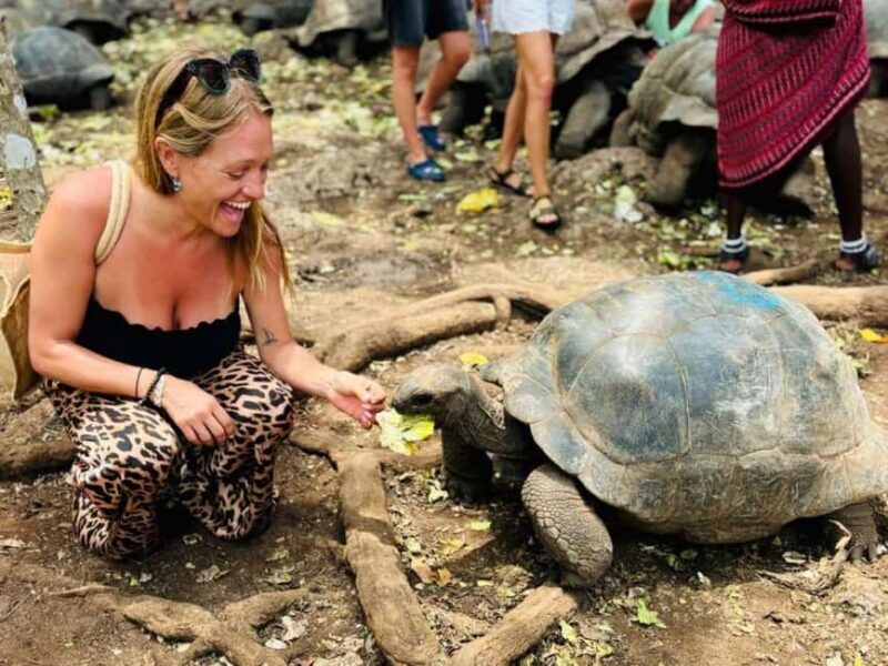Zanzibar: Prison island, Sea Turtle Sanctuary + Mtende Beach - The Sum Up