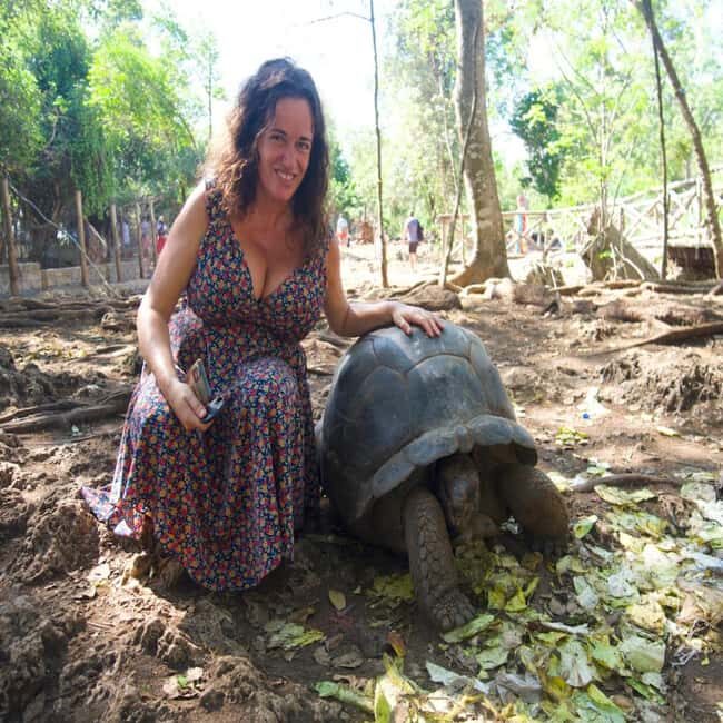 Zanzibar: Prison Island, Spice farm visit & turtle swim tour - Who Should Consider This Tour?