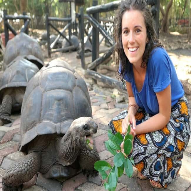 Zanzibar: Prison Island, Spice farm visit & turtle swim tour - The Sum Up