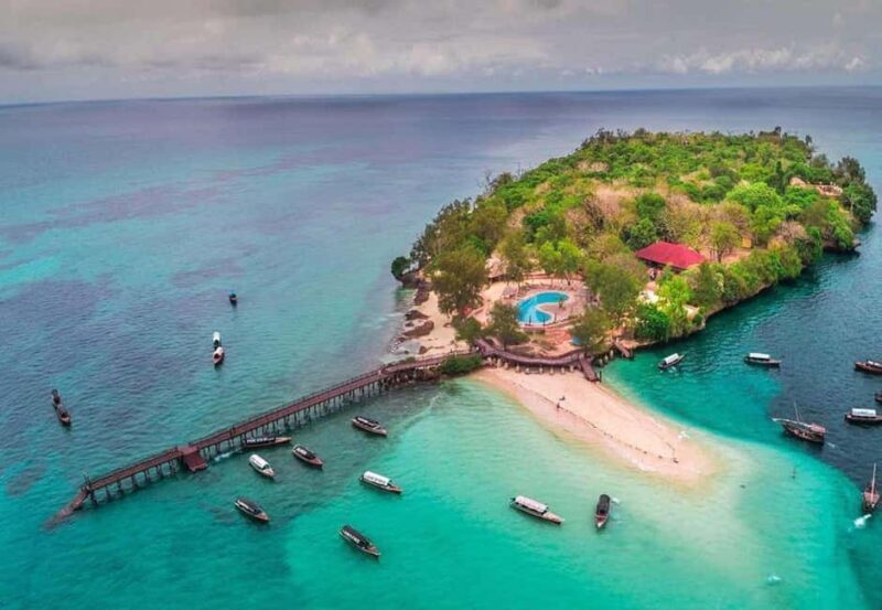 Zanzibar: Prison Island, Spice Tour &Salaam turtle Sanctuary - Salaam Turtle Sanctuary—A Conservation Story