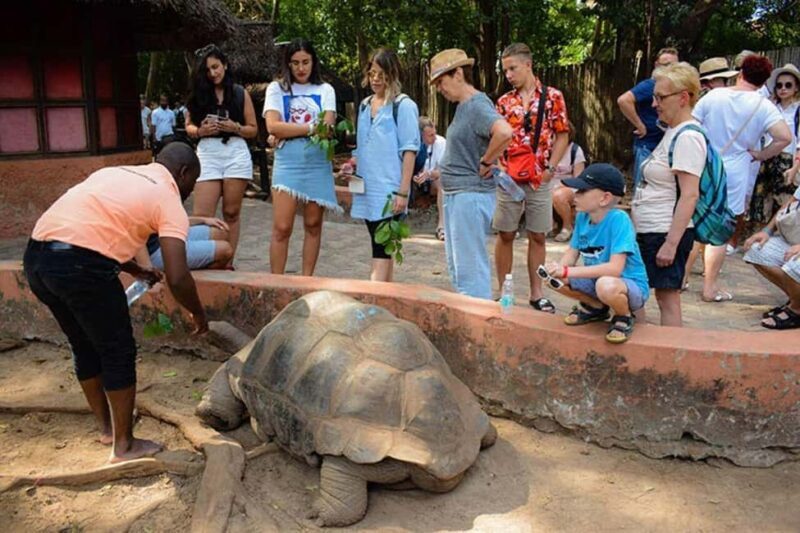 Zanzibar: Prison Island & Stone Town Guided Tour - A Complete Look at the Tour Experience