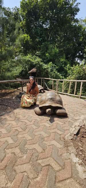 Zanzibar: Prison Island, Stone Town & Night Market Tour - Key Points