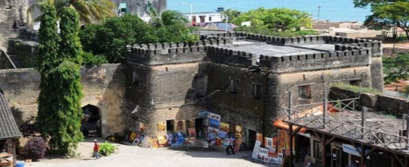 Zanzibar: Prison Island, Stone Town & Sea Turtle Sanctuary - What to Bring & Tips