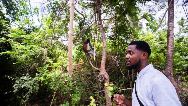 Zanzibar: Prison Island, Tortoise, Jozani Forest Guided Tour - The Value for Money