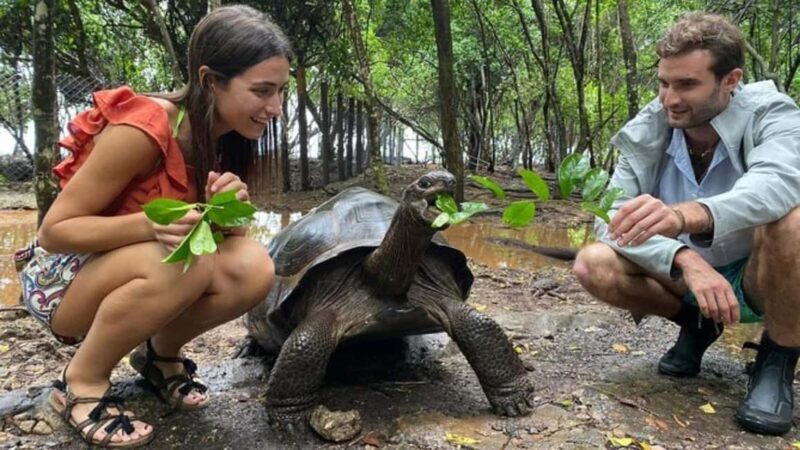 Zanzibar: Prison Island Tortoise Sanctuary & Jozani Forest - Key Points