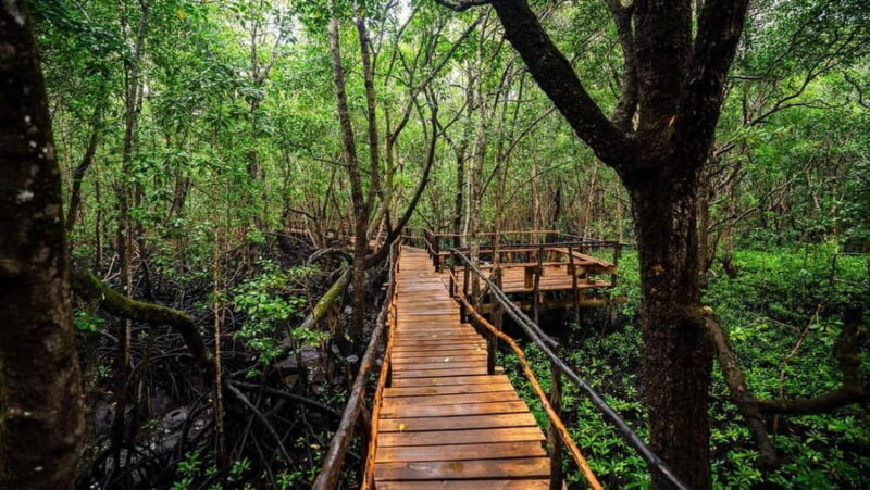 Zanzibar: Prison Island Tortoise Sanctuary & Jozani Forest - Exploring Zanzibar’s Natural and Historical Tapestry