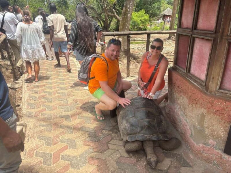 Zanzibar: Prison Island Tour with Aldabra Gient Tortoise - Real Traveler Insights