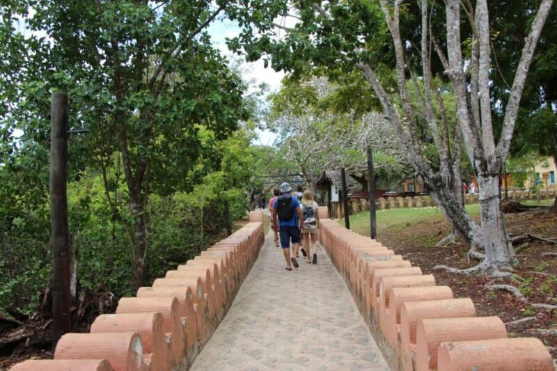 Zanzibar: Prison island- Turtoise & spice farm - The Authenticity of the Experience